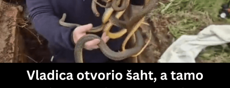Vladica otvorio šaht, a tamo pravi pravcati horor: Sledio se u mestu, sve se desilo u ovom Mestu u Srbiji….