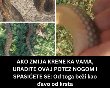 AKO ZMIJA KRENE KA VAMA, URADITE OVAJ POTEZ NOGOM I SPASIĆETE SE: Od toga beži kao đavo od krsta