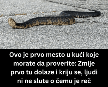 Ovo je prvo mesto u kući koje morate da proverite: Zmije prvo tu dolaze i kriju se, ljudi ni ne slute o čemu je reč