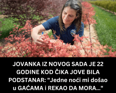 JOVANKA IZ NOVOG SADA JE 22 GODINE KOD ČIKA JOVE BILA PODSTANAR: “Jedne noći mi došao u GAĆAMA i REKAO DA MORA…”