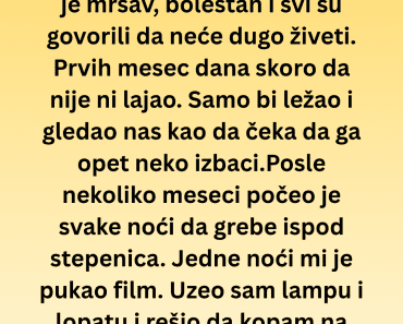 Udomili smo psa kog su svi izbegavali: Ono što je pronašao u našem dvorištu ledi krv u žilama…