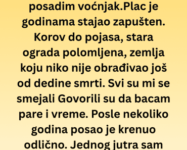 Komšije su mi govorile da bacam pare, a kada je voćnjak uspeo dogodilo se nešto jezivo Komšije su mi govorile da bacam pare, a kada je voćnjak uspeo dogodilo se nešto jezivo