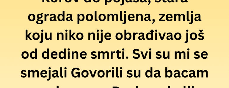 Komšije su mi govorile da bacam pare, a kada je voćnjak uspeo dogodilo se nešto jezivo