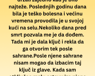Nikada nisam znao da je moja sestra krila nešto ovako: Istina me sačekala iza zaključanih vrata