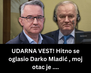 UDARNA VEST! Hitno se oglasio Darko Mladić , moj otac je ….