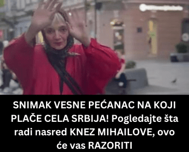 SNIMAK VESNE PEĆANAC NA KOJI PLAČE CELA SRBIJA! Pogledajte šta radi nasred KNEZ MIHAILOVE, ovo će vas RAZORITI