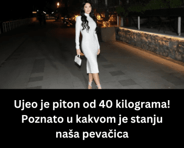 Ujeo je piton od 40 kilograma! Poznato u kakvom je stanju naša pevačica