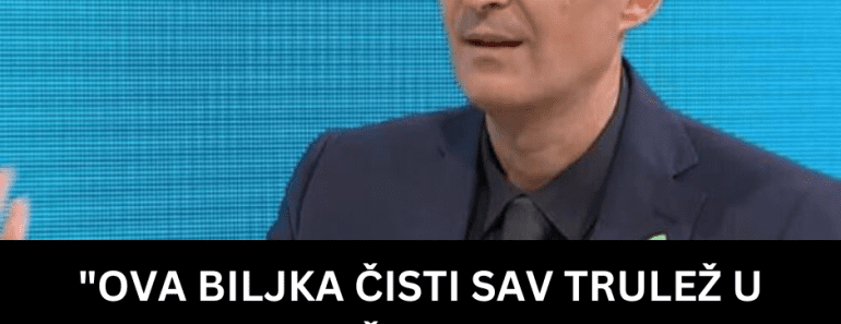 “OVA BILJKA ČISTI SAV TRULEŽ U CREVIMA” Dr Čubrilo OPET IZDAO UPOZORENJE: “Nemojte ovo da jedete, u tome se…”