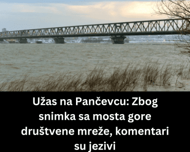 Užas na Pančevcu: Zbog snimka sa mosta gore društvene mreže, komentari su jezivi