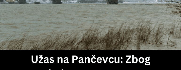 Užas na Pančevcu: Zbog snimka sa mosta gore društvene mreže, komentari su jezivi