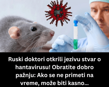 Ruski doktori otkrili jezivu stvar o hantavirusu! Obratite dobro pažnju: Ako se ne primeti na vreme, može biti kasno…