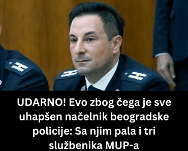 Evo zbog čega je sve uhapšen načelnik beogradske policije: Sa njim pala i tri službenika MUP-a