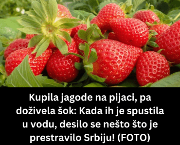 Kupila jagode na pijaci, pa doživela šok: Kada ih je spustila u vodu, desilo se nešto što je prestravilo Srbiju! (FOTO)