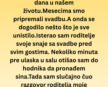 Isterao sam roditelje svoje snaje sa svadbe pred 300 gostiju kada se saznalo zašto, svi su zaćutali