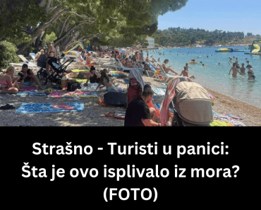Strašno – Turisti u panici: Šta je ovo isplivalo iz mora? (FOTO)