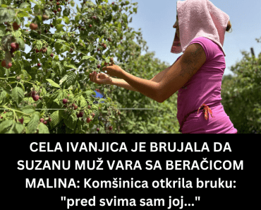 CELA IVANJICA JE BRUJALA DA SUZANU MUŽ VARA SA BERAČICOM MALINA: Komšinica otkrila bruku: “pred svima sam joj…”