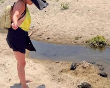 “OVO U ŽIVOTU NISAM VIDELA! NI U ZOOLOŠKOM VRTU” Gledajte šta je naša pevačica DOŽIVELA NA PLAŽI U GRČKOJ! NEVERICA