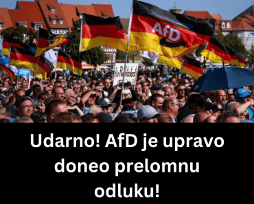 Udarno! AfD je upravo doneo prelomnu odluku!