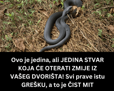 Ovo je jedina, ali JEDINA STVAR KOJA ĆE OTERATI ZMIJE IZ VAŠEG DVORIŠTA! Svi prave istu GREŠKU, a to je ČIST MIT