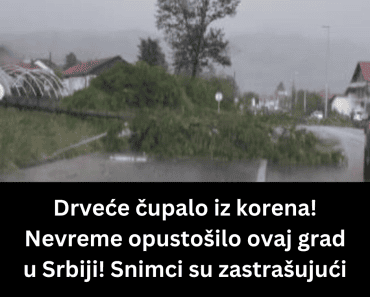 Drveće čupalo iz korena! Nevreme opustošilo ovaj grad u Srbiji! Snimci su zastrašujući