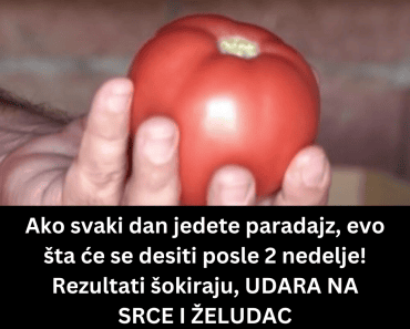 Ako svaki dan jedete paradajz, evo šta će se desiti posle 2 nedelje! Rezultati šokiraju, UDARA NA SRCE I ŽELUDAC