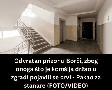 Odvratan prizor u Borči, zbog onoga što je komšija držao u zgradi pojavili se crvi – Pakao za stanare (FOTO/VIDEO)