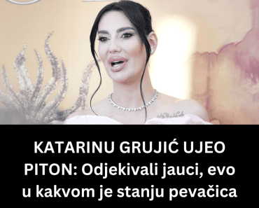 KATARINU GRUJIĆ UJEO PITON: Odjekivali jauci, evo u kakvom je stanju pevačica
