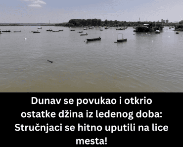 Dunav se povukao i otkrio ostatke džina iz ledenog doba: Stručnjaci se hitno uputili na lice mesta!